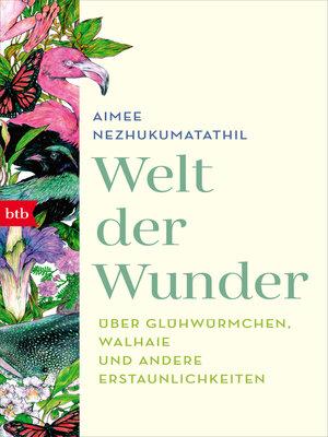 cover image of Welt der Wunder